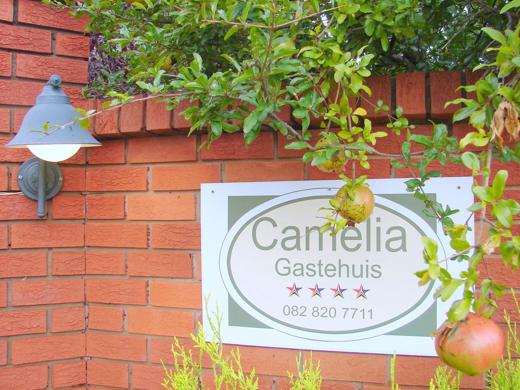 Camelia Guest House Bloemfontein Buitenkant foto